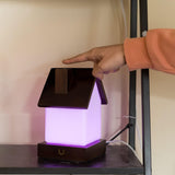 Dacida Home Friendship Lamp v2 Extended WiFi Range - Bluetooth Setup - Wood & Glass Design (Set of Two, Natural)